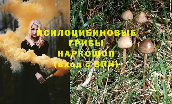 ECSTASY Мегион