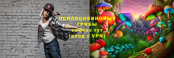 кокаин премиум Медногорск